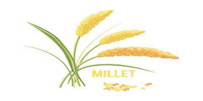 Millet