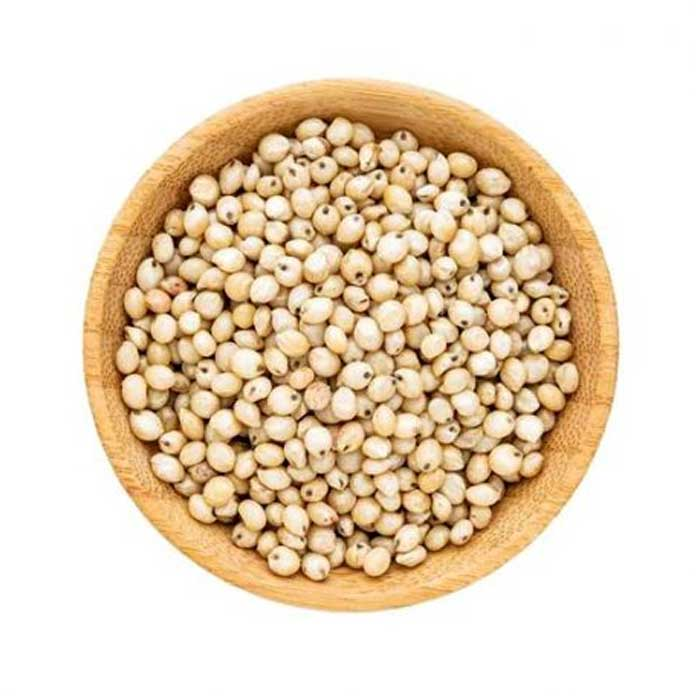 Sorghum Millet