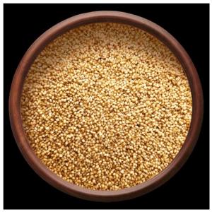 Foxtail Millet