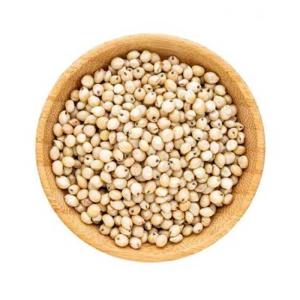 Sorghum Millet