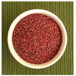 Finger Millet