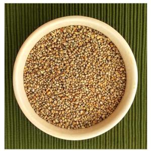 Pearl Millet